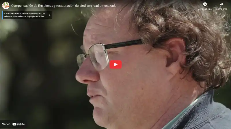 Compensación de emisiones