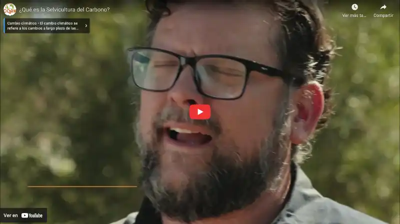 ¿Qué es la Selvicultura del Carbono?