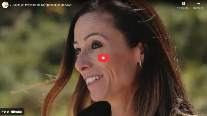 ¿Qué es un Proyecto de Compensación de CO2?