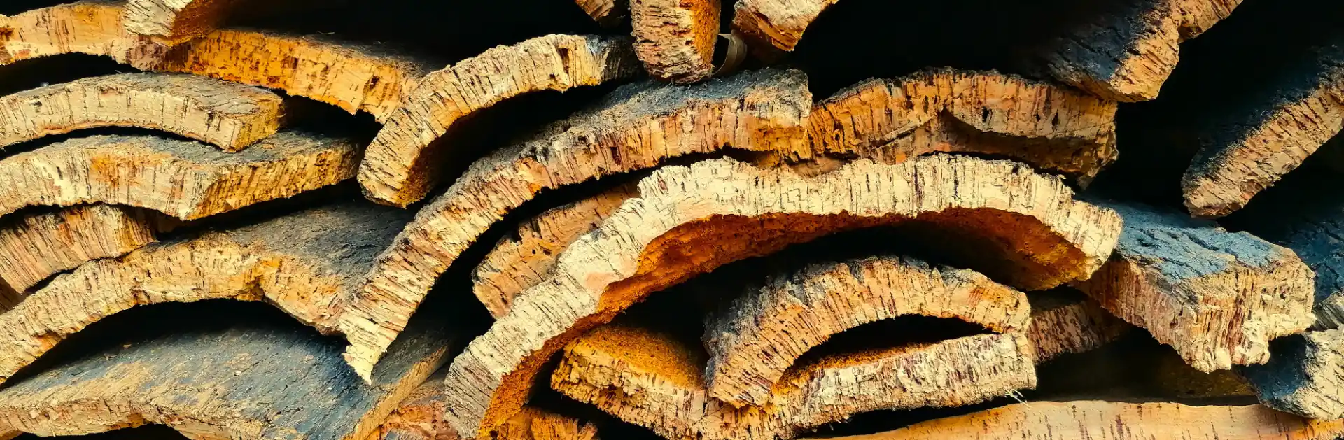 Montón de corchos de los alcornocales