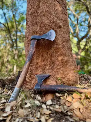 Portada Manual Selvicultura del Carbono en Alcornocal